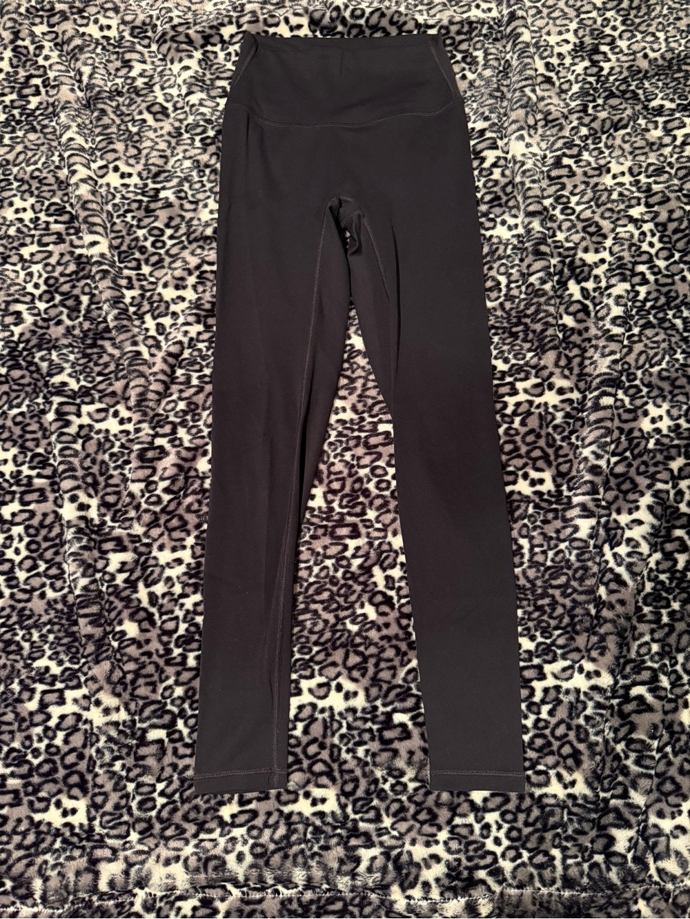 Paragon recstretch sculptseam plus leggings